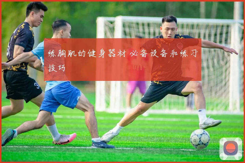 练胸肌的健身器材 必备设备和练习技巧