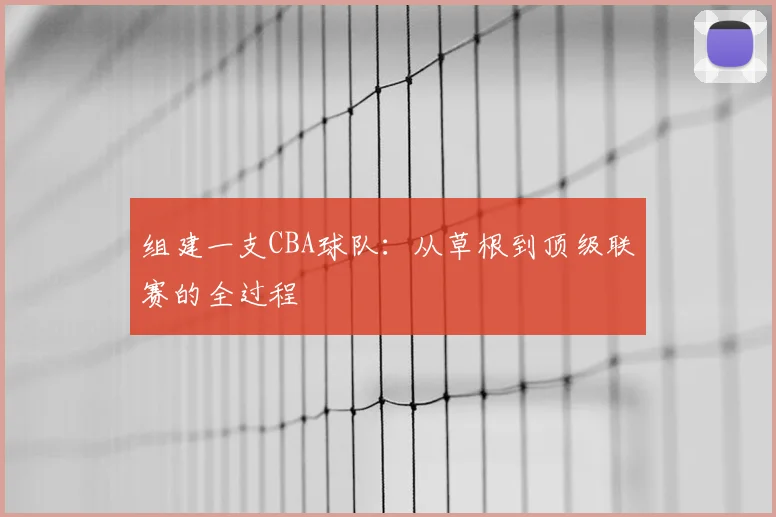 组建一支CBA球队:从草根到顶级联赛的全过程
